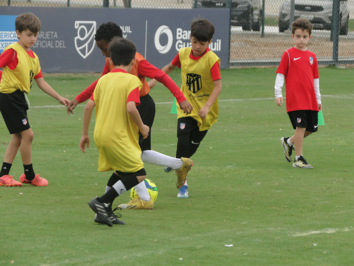 Camps Cuenca