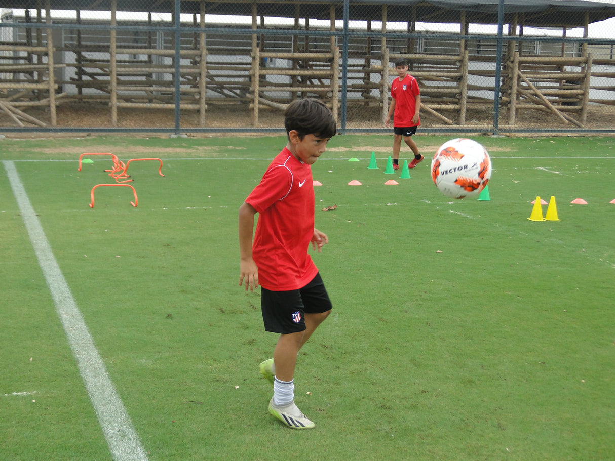 Atlético de Madrid Camps • Ambato